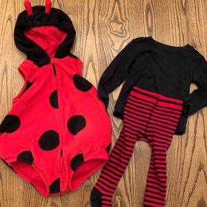Ladybug costume
